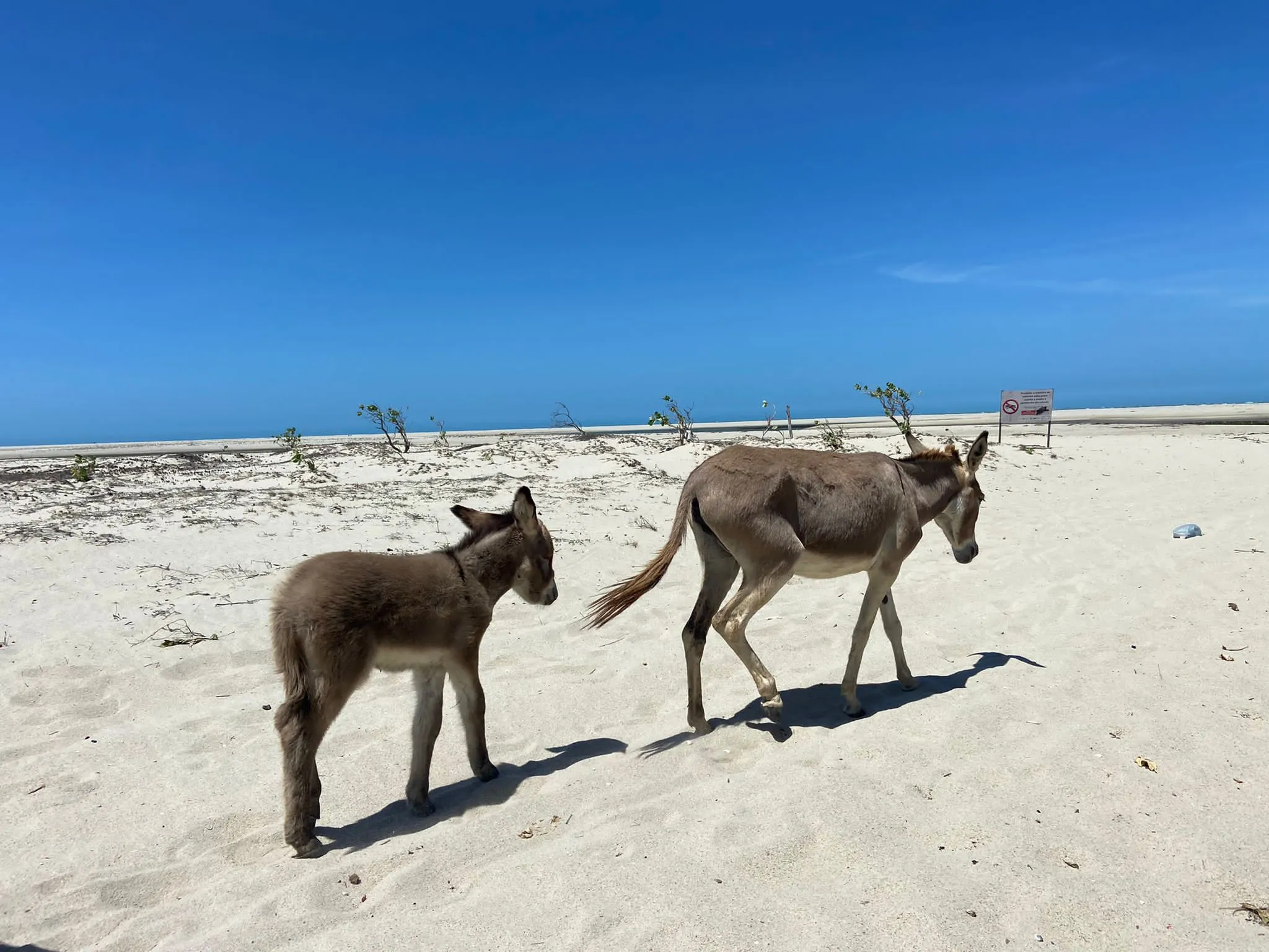 Praia de Macapá Eindrücke